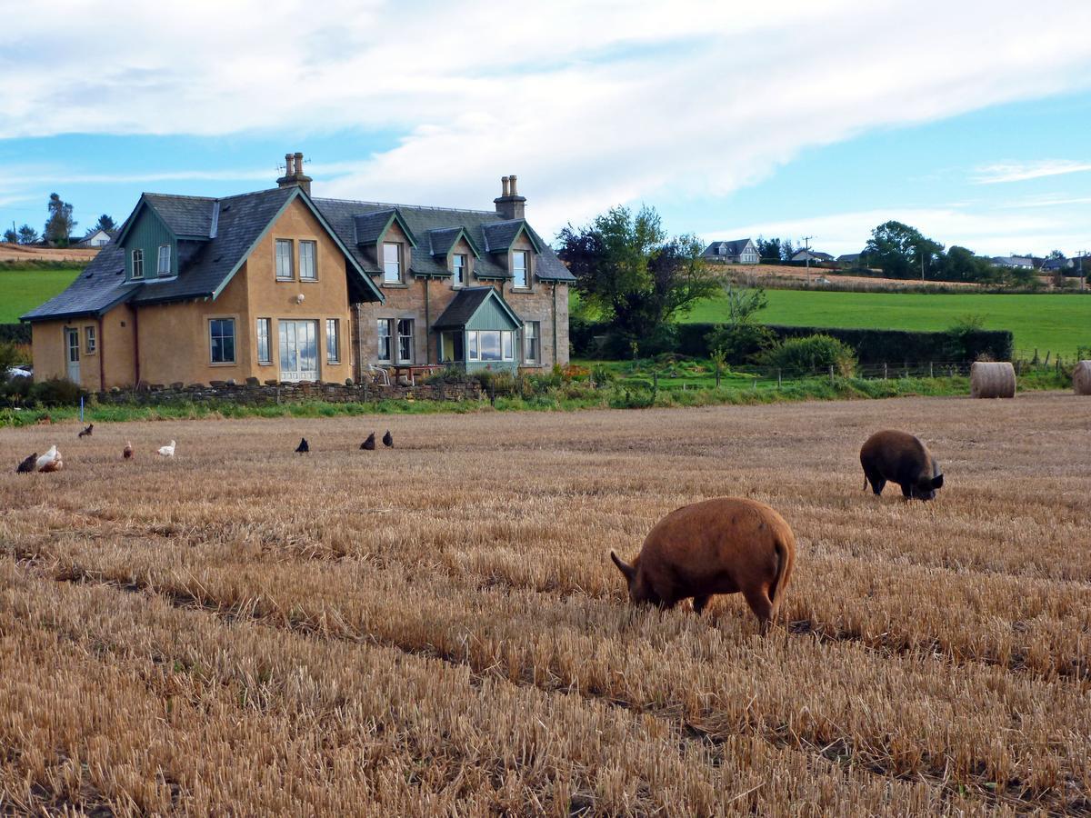 Netherton Farm B&B Culbokie Exterior foto